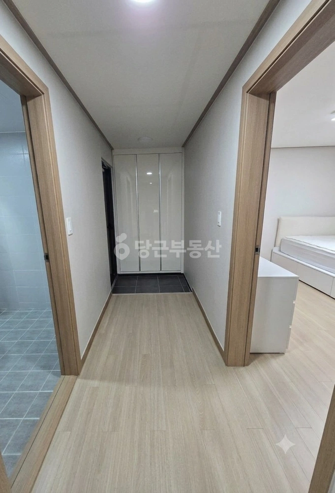 강원특별자치도 강릉시 홍제동 빌라(투룸 이상) 사진 1