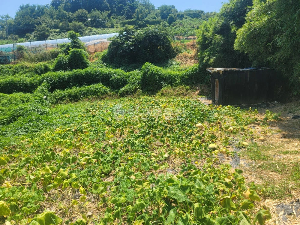 부산광역시 기장군 장안읍 토지 사진 1