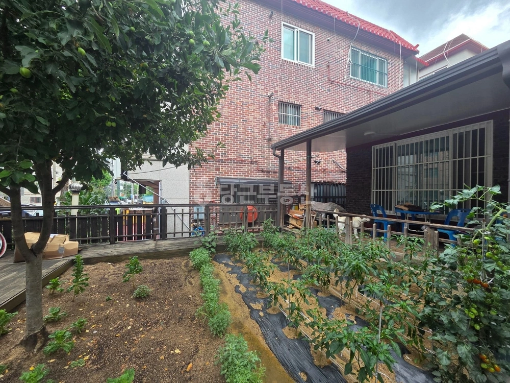 경기도 안산시 상록구 본오동 단독/전원주택 사진 1
