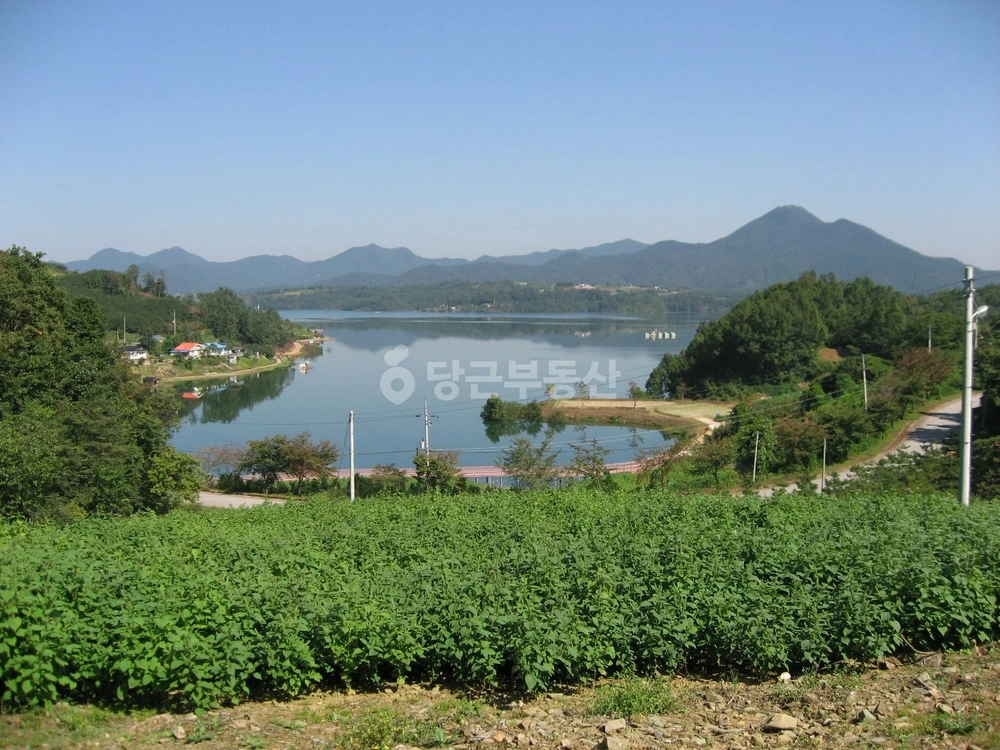 충청북도 제천시 청풍면 토지 사진 1