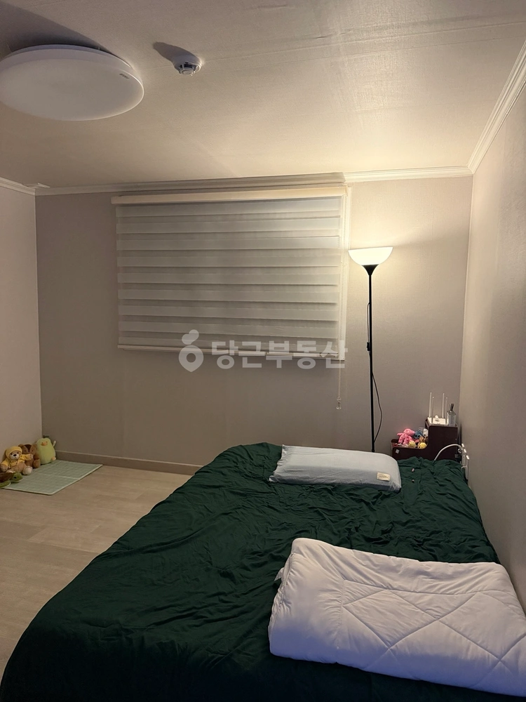 경상북도 포항시 북구 양덕동 빌라(투룸 이상) 사진 1