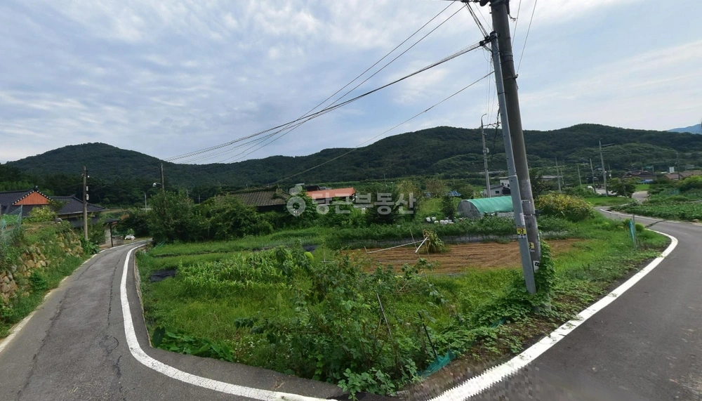 경상북도 칠곡군 석적읍 토지 사진 1