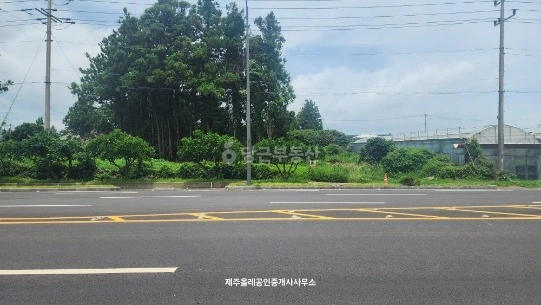 제주특별자치도 서귀포시 남원읍 토지 사진 1