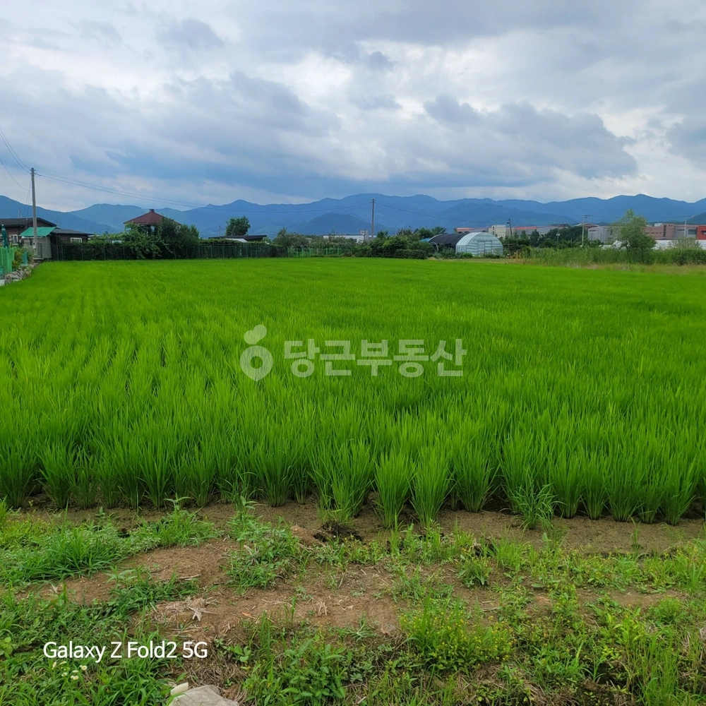 강원특별자치도 춘천시 신북읍 토지 사진 1