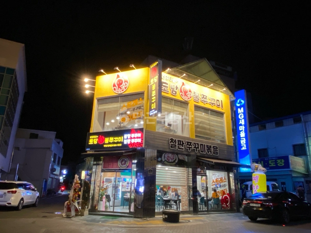 경상북도 고령군 대가야읍 상가 사진 1