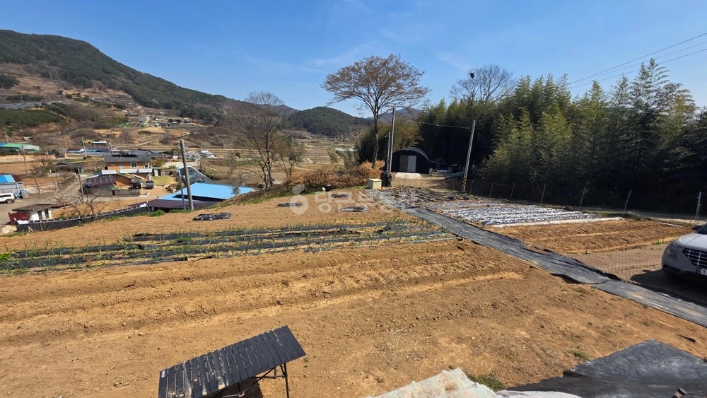 전남광주통합특별시 순천시 주암면 토지 사진 1