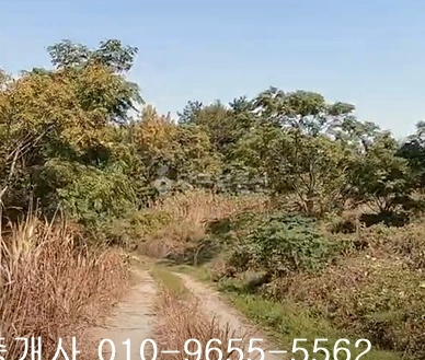 전남광주통합특별시 무안군 청계면 토지 사진 1