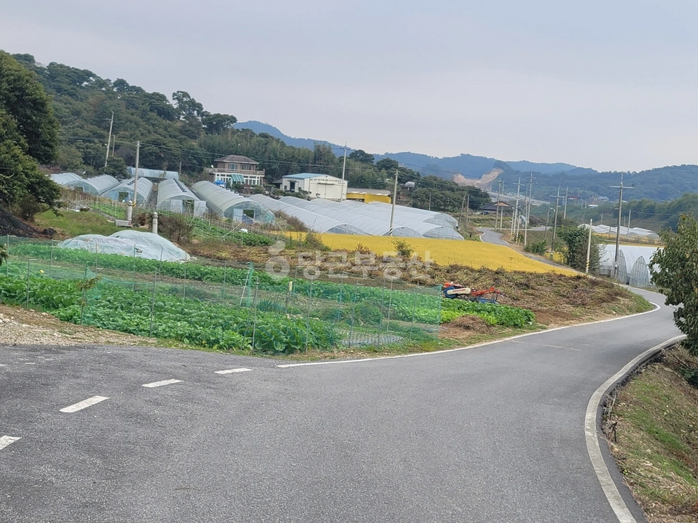 충청남도 부여군 은산면 토지 사진 1