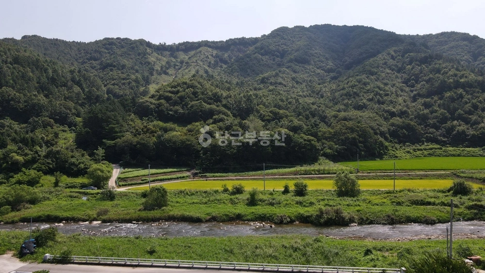 전북특별자치도 장수군 천천면 토지 사진 1