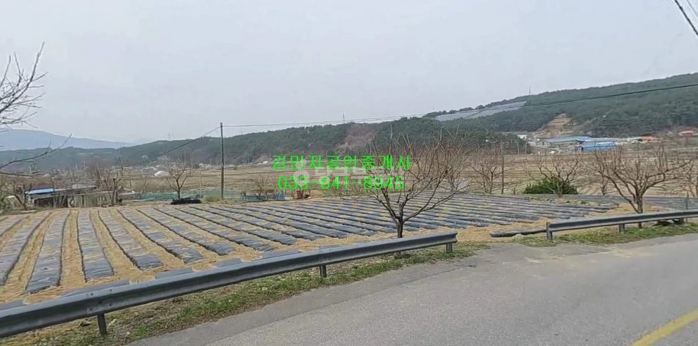 강원특별자치도 강릉시 강동면 토지 사진 1