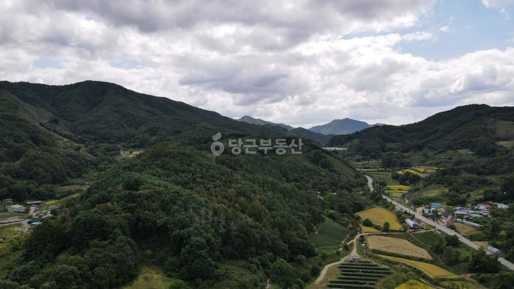 전북특별자치도 진안군 동향면 토지 사진 1