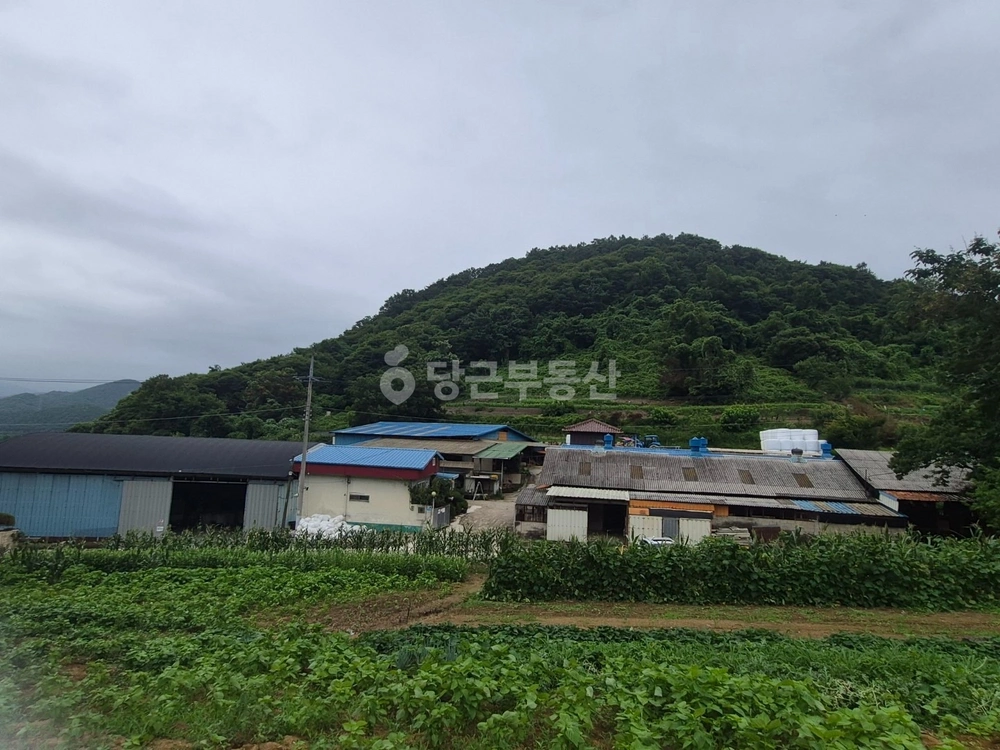 전남광주통합특별시 장성군 동화면 건물 사진 1