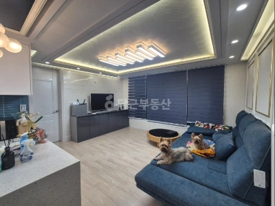 경기도 부천시 원미구 원미동 오피스텔 사진 1