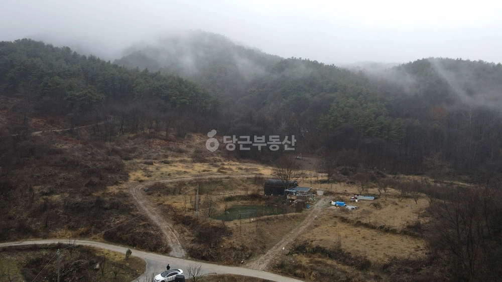 전북특별자치도 김제시 금산면 토지 사진 1