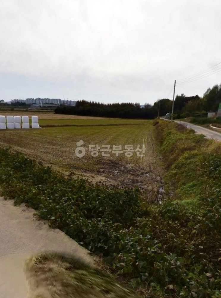 경기도 평택시 팽성읍 토지 사진 1