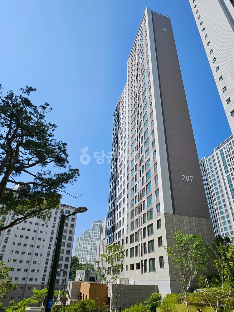 경기도 성남시 수정구 신흥동 아파트 사진 1