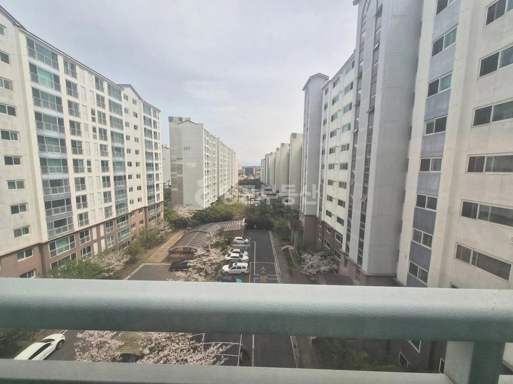 제주특별자치도 제주시 화북이동 아파트 사진 1