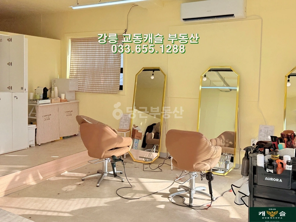 강원특별자치도 강릉시 교동 상가 사진 1