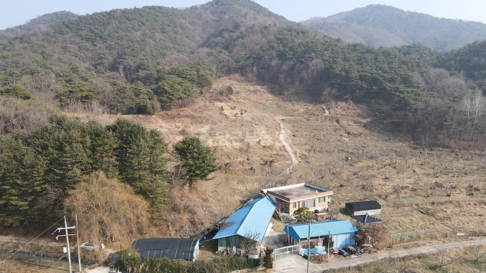 전북특별자치도 임실군 오수면 토지 사진 1