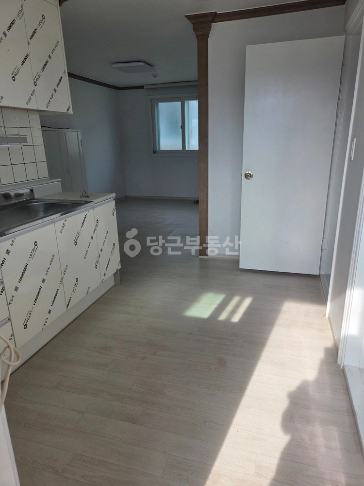 대전광역시 중구 산성동 빌라(투룸 이상) 사진 1