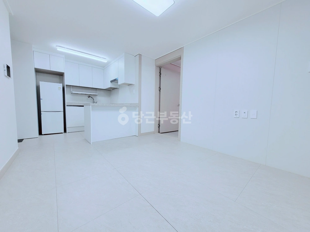 대전광역시 서구 내동 빌라(투룸 이상) 사진 1