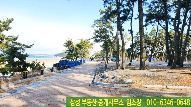 충청남도 서천군 서면 토지 사진 1