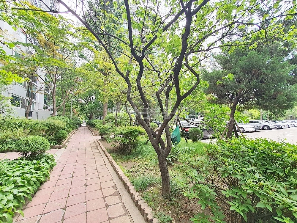 서울특별시 강남구 대치동 아파트 사진 1