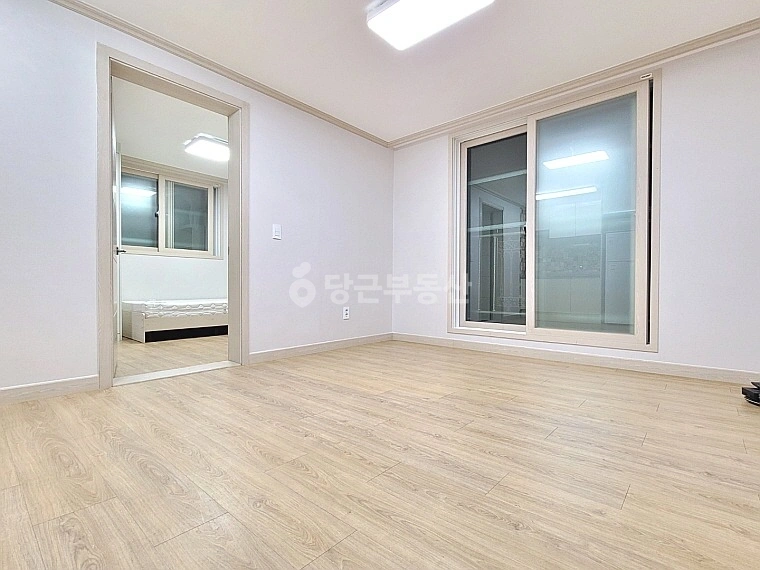 대전광역시 중구 용두동 원룸 사진 1