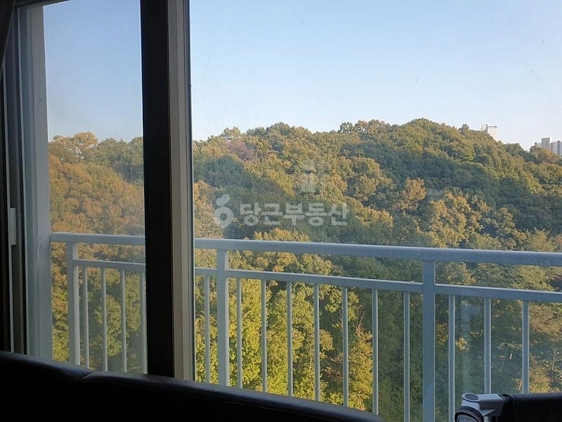 강원특별자치도 원주시 지정면 아파트 사진 1