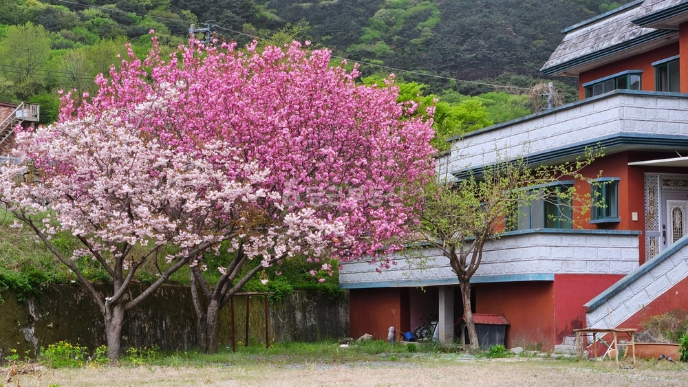 경상남도 창원시 마산회원구 내서읍 단독/전원주택 사진 1