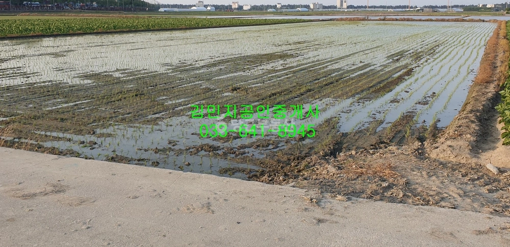 강원특별자치도 강릉시 송정동 토지 사진 1