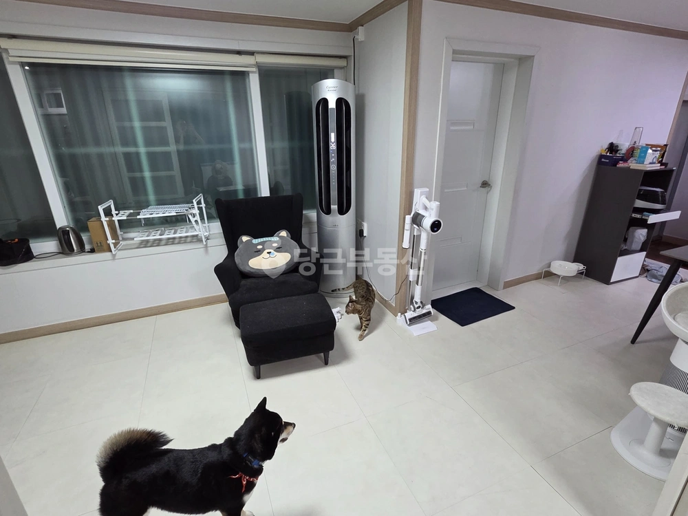 대전광역시 서구 용문동 단독/전원주택 사진 1