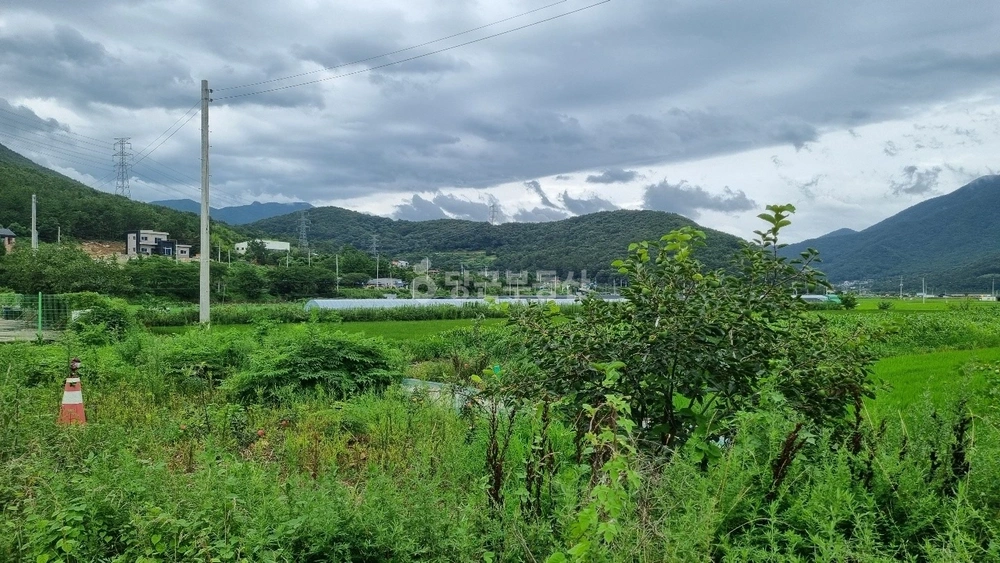 경상남도 양산시 원동면 토지 사진 1