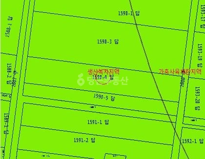 전남광주통합특별시 담양군 담양읍 토지 사진 1