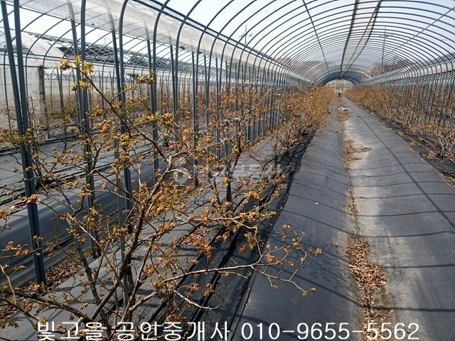 전남광주통합특별시 나주시 다시면 토지 사진 1