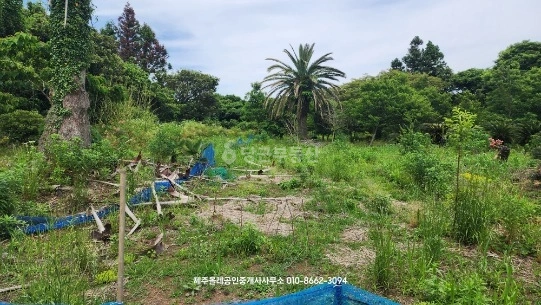제주특별자치도 서귀포시 표선면 토지 사진 1