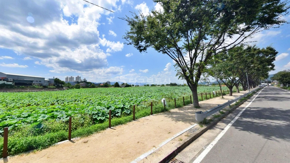 경상북도 경산시 진량읍 토지 사진 1