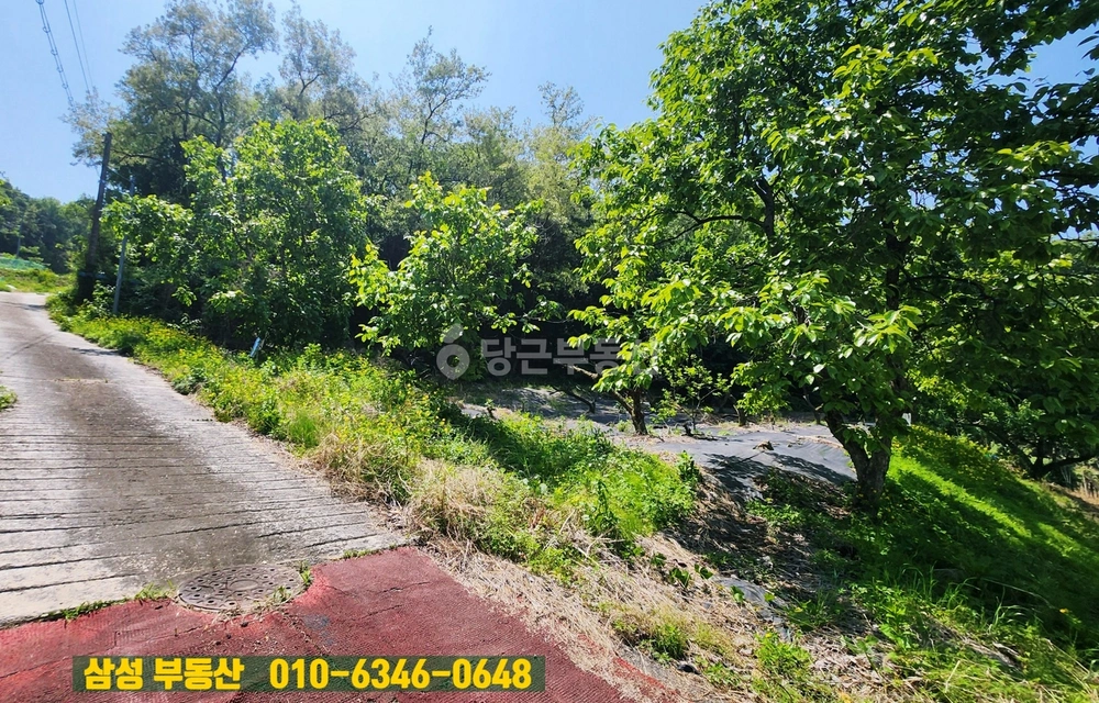 충청북도 청주시 상당구 용암동 토지 사진 1