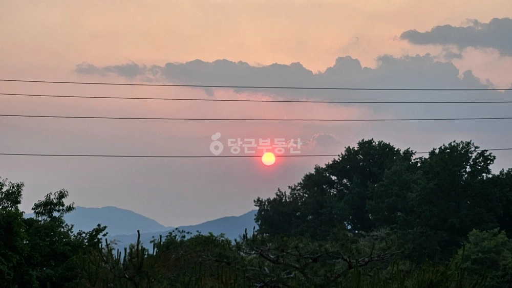 전남광주통합특별시 장성군 황룡면 단독/전원주택 사진 1