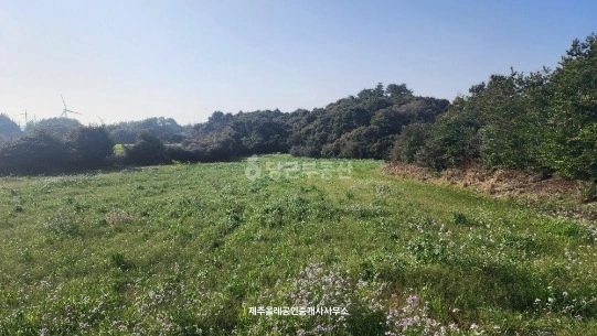제주특별자치도 서귀포시 성산읍 토지 사진 1