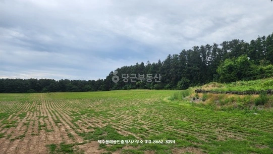 제주특별자치도 제주시 오라이동 토지 사진 1