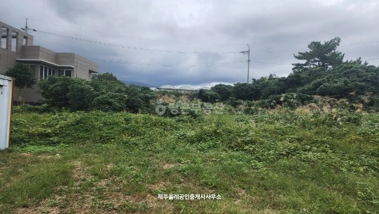 제주특별자치도 서귀포시 토평동 토지 사진 1