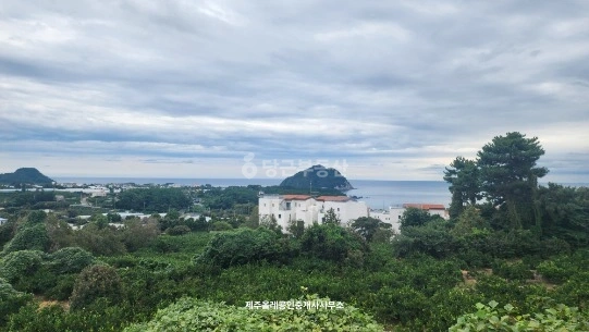 제주특별자치도 서귀포시 토평동 토지 사진 1