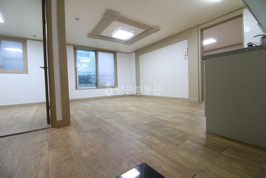 대전광역시 서구 용문동 빌라(투룸 이상) 사진 1