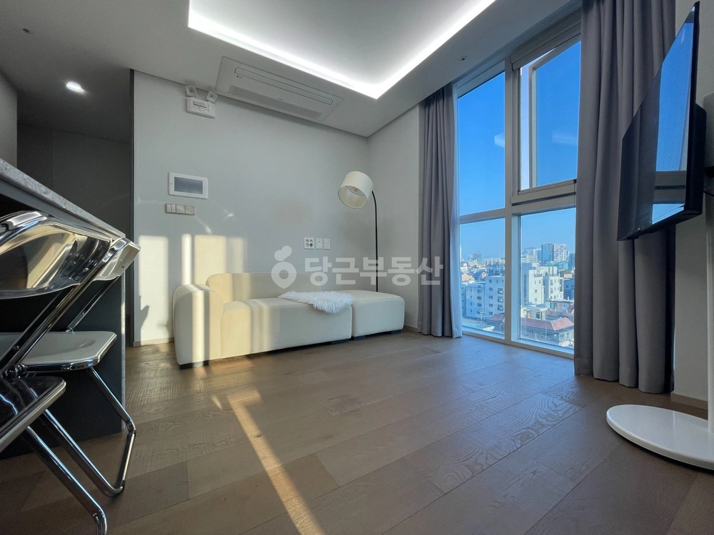 서울특별시 강남구 역삼동 오피스텔 사진 1