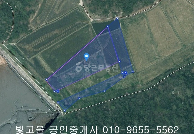 전남광주통합특별시 신안군 압해읍 토지 사진 1