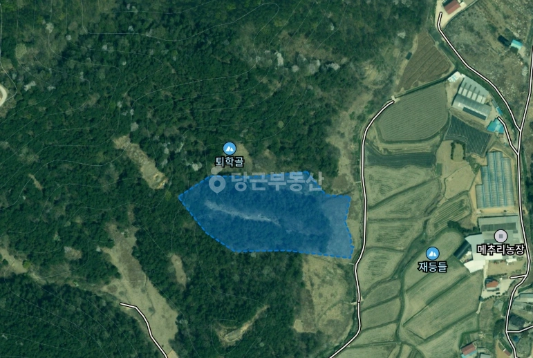전북특별자치도 김제시 금산면 토지 사진 1