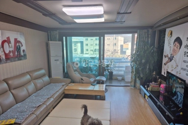 경기도 안산시 상록구 건건동 빌라(투룸 이상) 사진 1