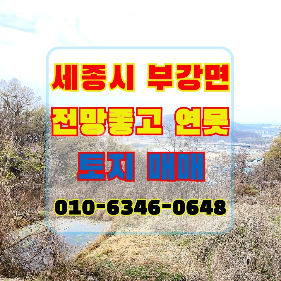 세종특별자치시 부강면 토지 사진 1