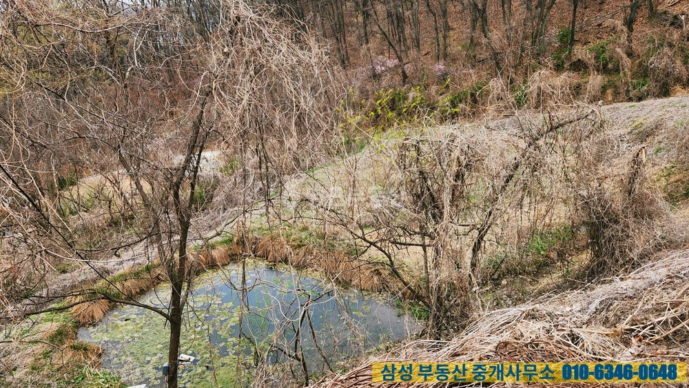 세종특별자치시 부강면 토지 사진 1